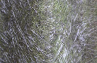 Leycett fibreglass roof work